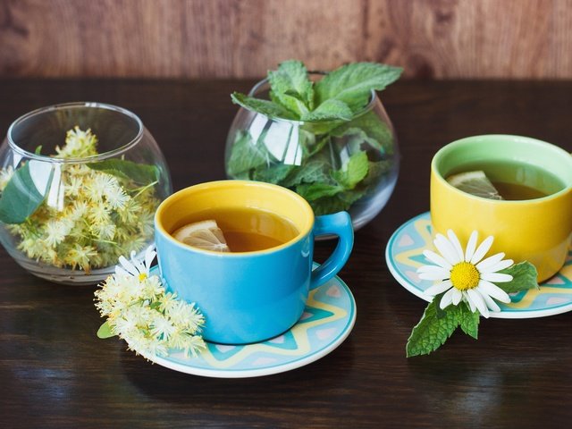 Обои цветы, мята, ромашка, лимон, чашка, чай, травы, flowers, mint, daisy, lemon, cup, tea, grass разрешение 5184x3456 Загрузить