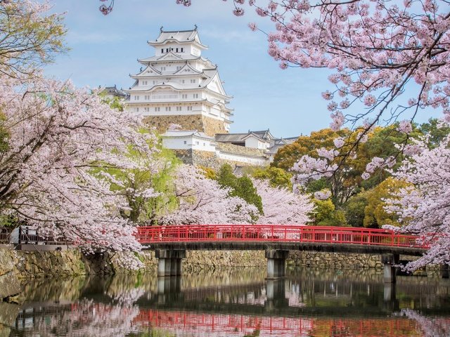 Обои мост, замок, япония, сакура, химэдзи, bridge, castle, japan, sakura, himeji разрешение 2048x1341 Загрузить
