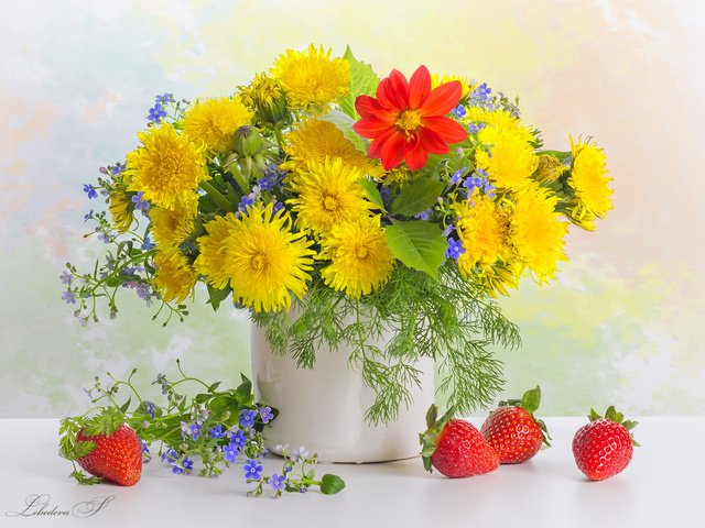 Обои цветы, клубника, ягоды, одуванчики, незабудки, натюрморт, георгин, flowers, strawberry, berries, dandelions, forget-me-nots, still life, dahlia разрешение 2009x1448 Загрузить