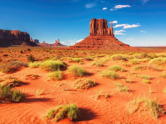 Обои трава, горы, скалы, пустыня, сша, аризона, долина монументов, grass, mountains, rocks, desert, usa, az, monument valley разрешение 1920x1282 Загрузить