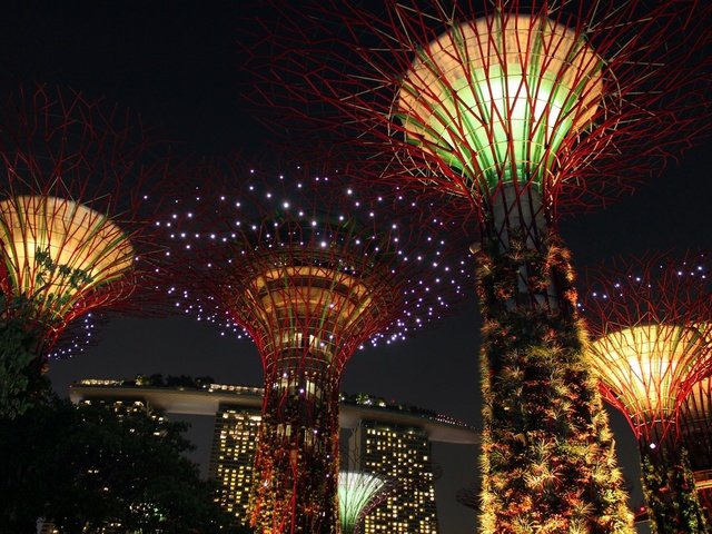 Обои свет, достопримечательность, ночь, сингапур, деревья, креативность, огни, дизайн, азия, фейерверк, освещение, light, attraction, night, singapore, creativity, trees, lights, design, asia, fireworks, lighting разрешение 1920x1280 Загрузить