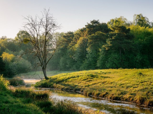 Обои река, природа, дерево, весна, river, nature, tree, spring разрешение 2112x1188 Загрузить