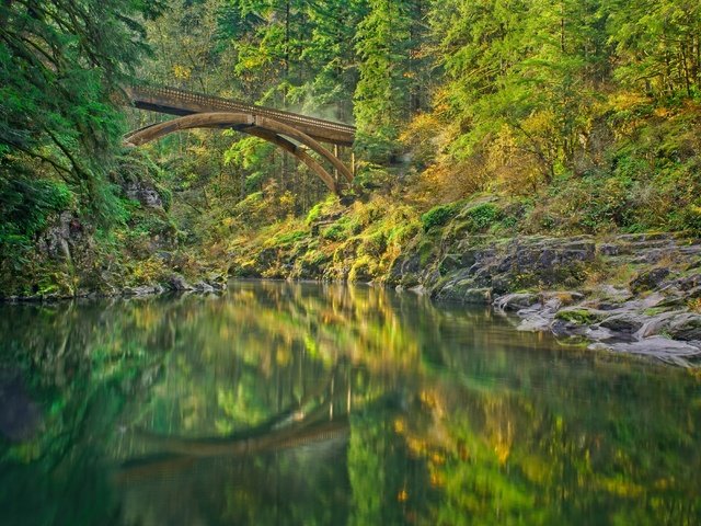 Обои река, лес, мост, штат вашингтон, lewis river, river, forest, bridge, washington разрешение 3600x2700 Загрузить