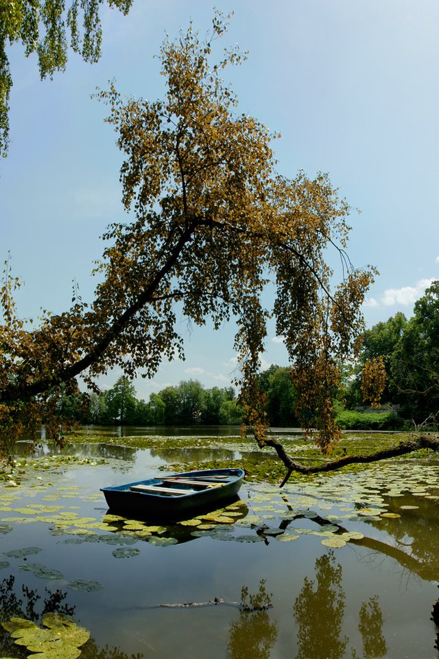 Обои деревья, озеро, лодка, trees, lake, boat разрешение 1920x1200 Загрузить
