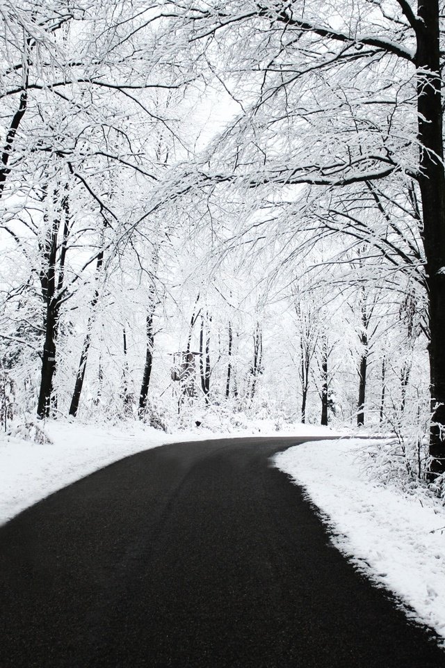 Обои дорога, снег, лес, зима, road, snow, forest, winter разрешение 2560x1600 Загрузить