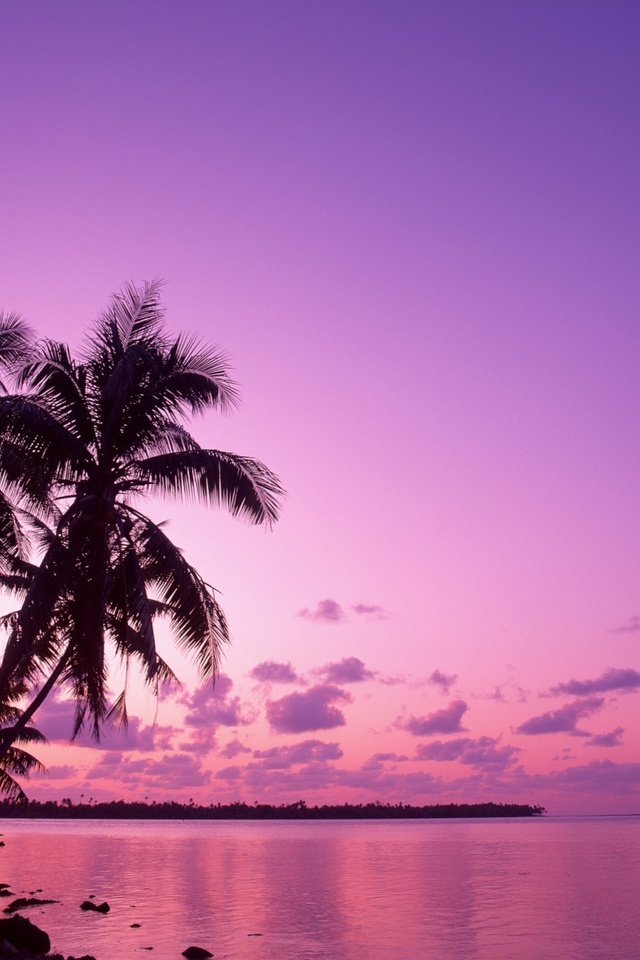 Обои восход, пальмы, отпуск, sunrise, palm trees, vacation разрешение 1920x1440 Загрузить