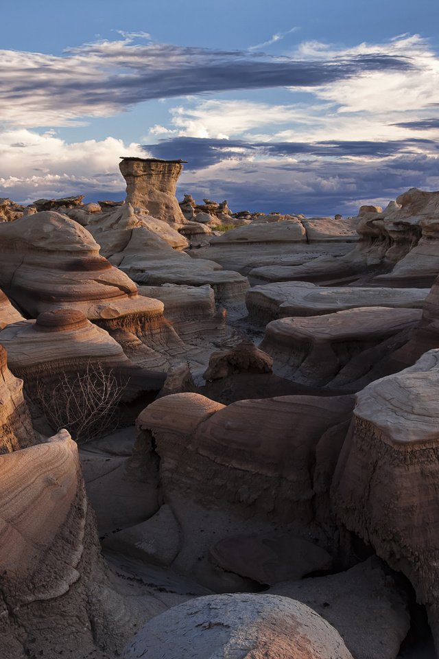 Обои камни, пустыня, bisti badlands, stones, desert разрешение 2560x1600 Загрузить
