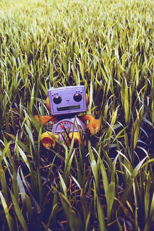 Обои трава, робот, игрушечный, газон, grass, robot, toy, lawn разрешение 1920x1200 Загрузить