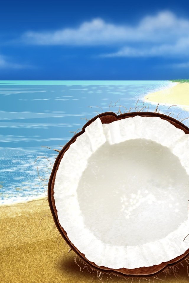 Обои море, песок, кокос, sea, sand, coconut разрешение 1920x1200 Загрузить