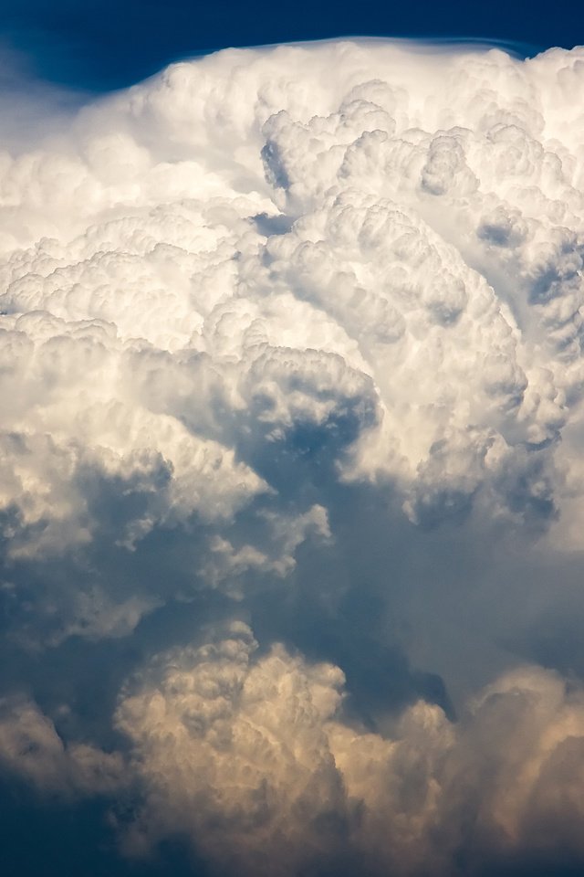 Обои небо, самолет, шторм, грозовая туча, the sky, the plane, storm, storm cloud разрешение 2560x1600 Загрузить