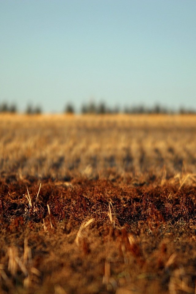 Обои земля, поле, осень, earth, field, autumn разрешение 1920x1440 Загрузить