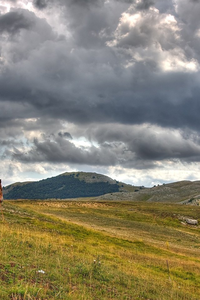 Обои лошадь, облака, холмы, horse, clouds, hills разрешение 1920x1200 Загрузить