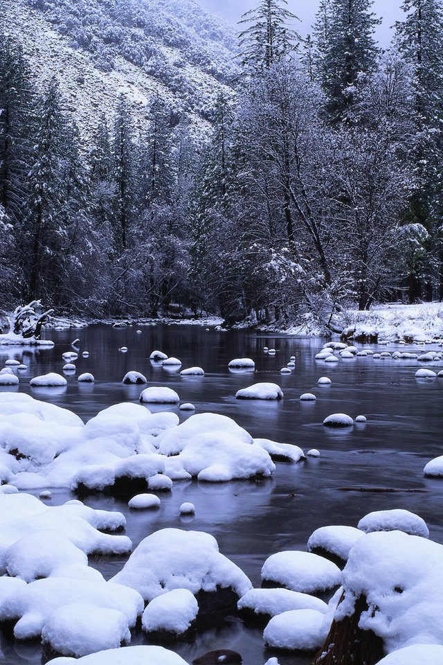 Обои снег, лес, ручей, snow, forest, stream разрешение 3750x1200 Загрузить