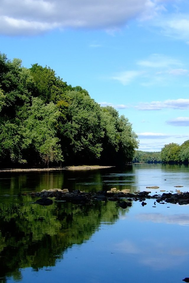 Обои небо, река, лес, the sky, river, forest разрешение 1920x1200 Загрузить