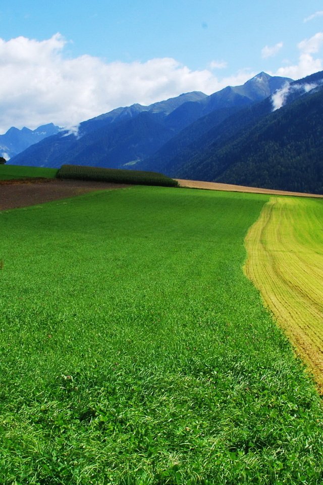 Обои небо, дорога, трава, горы, поле, the sky, road, grass, mountains, field разрешение 1920x1200 Загрузить