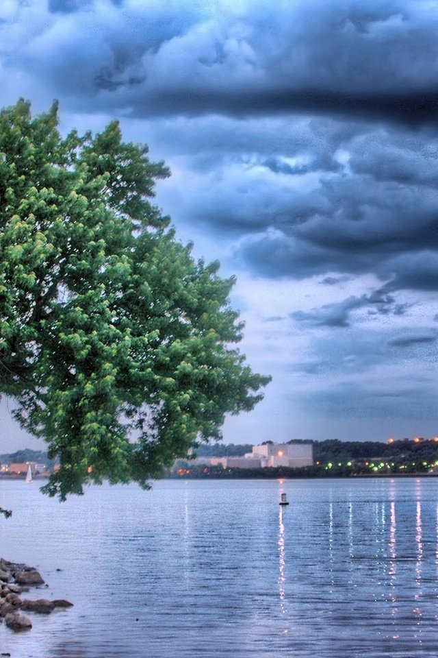 Обои облака, озеро, природа, дерево, отражение, clouds, lake, nature, tree, reflection разрешение 1920x1080 Загрузить