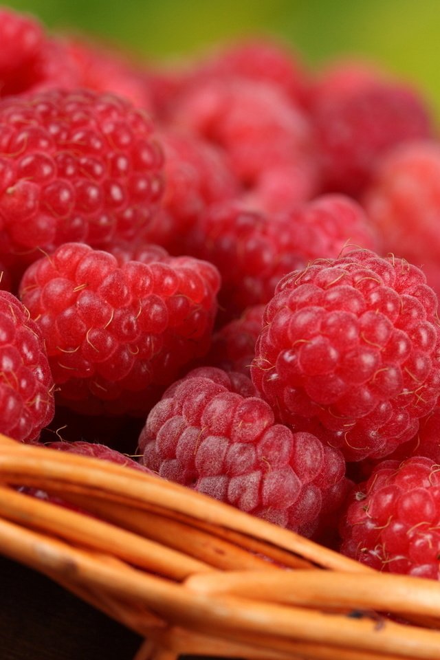 Обои макро, малина, ягоды, корзинка, вкусно, macro, raspberry, berries, basket, delicious разрешение 1920x1080 Загрузить