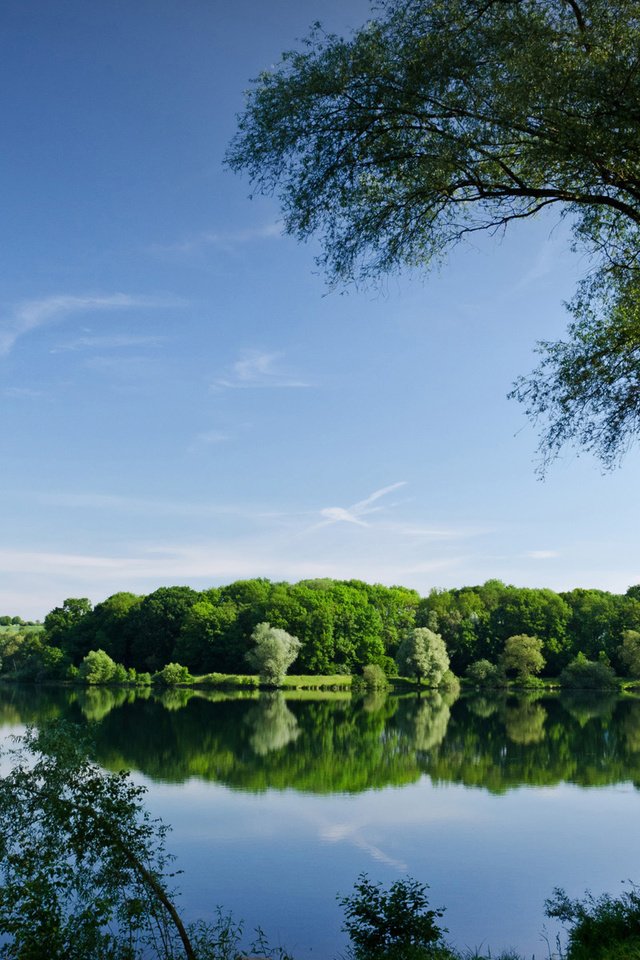 Обои деревья, озеро, река, отражение, лето, водоем, trees, lake, river, reflection, summer, pond разрешение 1920x1200 Загрузить