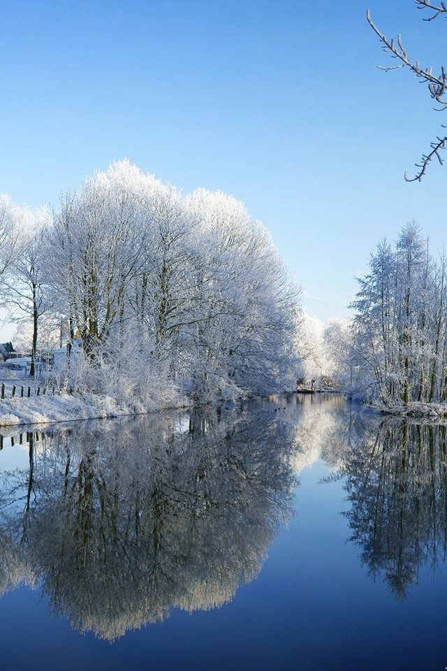 Обои деревья, снег, зима, отражение, пруд, trees, snow, winter, reflection, pond разрешение 1920x1080 Загрузить