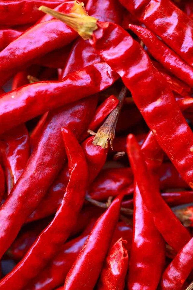 Обои красный, чили, перец, острый, горький, жгучий, red, chile, pepper, sharp, bitter, burning разрешение 1920x1200 Загрузить