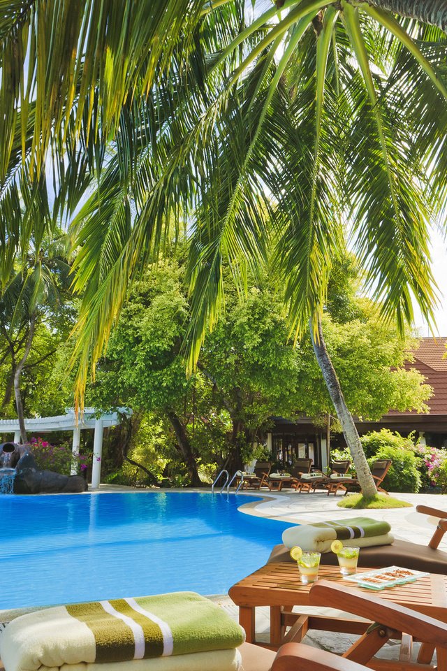 Обои пальмы, бассейн, отдых, тропики, palm trees, pool, stay, tropics разрешение 1920x1080 Загрузить