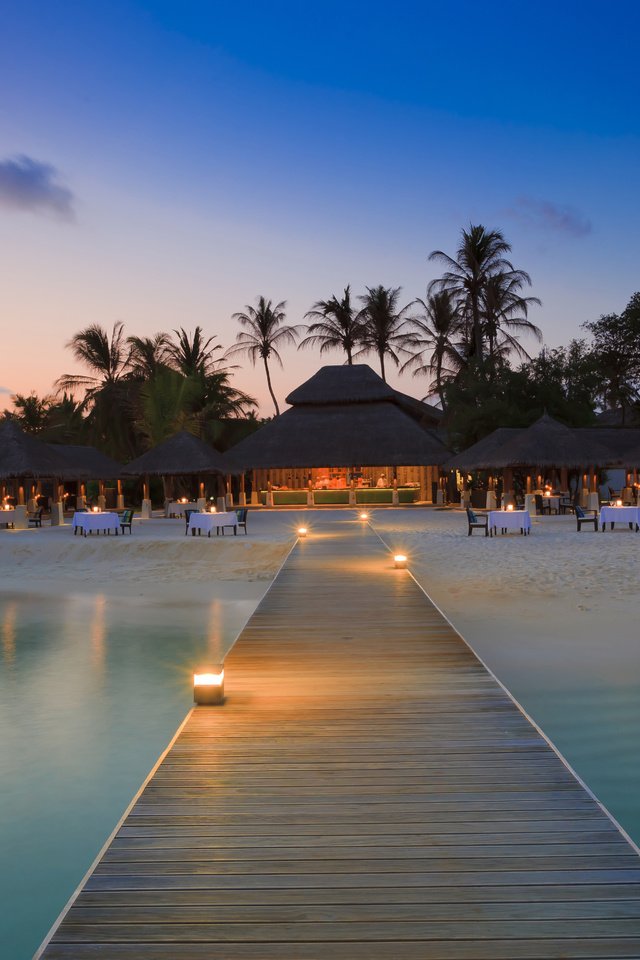 Обои пляж, пальмы, тропики, мальдивы, beach, palm trees, tropics, the maldives разрешение 5616x3744 Загрузить