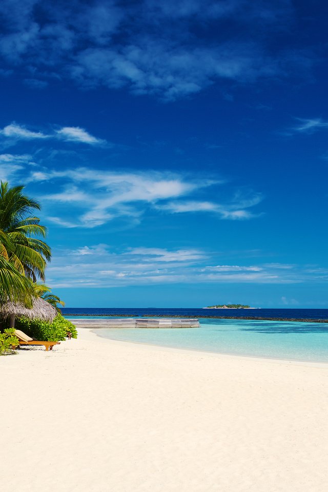 Обои пляж, пальмы, тропики, мальдивы, beach, palm trees, tropics, the maldives разрешение 3840x2400 Загрузить