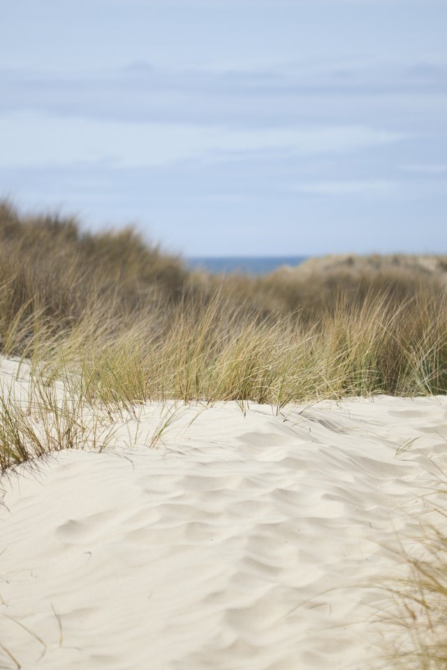 Обои небо, трава, природа, море, песок, дюны, the sky, grass, nature, sea, sand, dunes разрешение 2560x1600 Загрузить