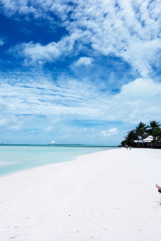 Обои пляж, тропики, мальдивы, beach, tropics, the maldives разрешение 4256x2848 Загрузить