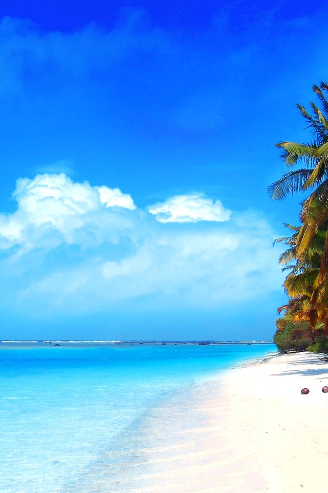 Обои пляж, тропики, beach, tropics разрешение 2560x1920 Загрузить