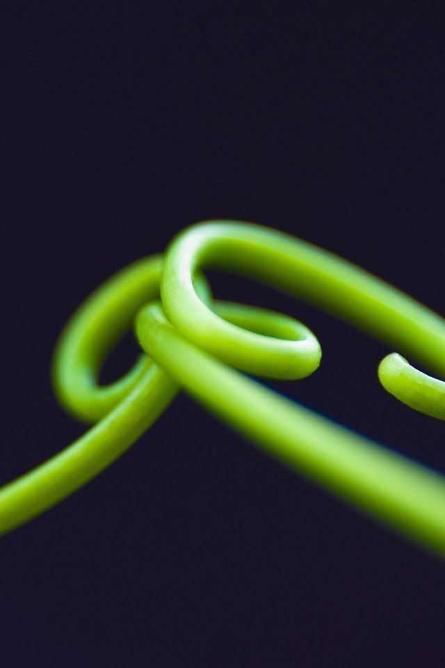 Обои макро, спираль, черный фон, стебли, кольца, зелёная трава, macro, spiral, black background, stems, ring, green grass разрешение 2560x1600 Загрузить