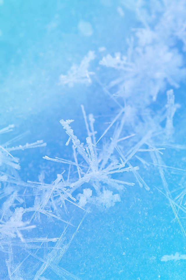 Обои снежинки, зимний узор, голубая текстура, snowflakes, winter pattern, blue texture разрешение 2560x1600 Загрузить