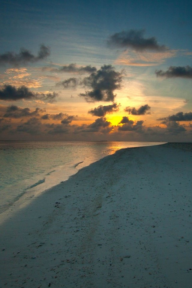 Обои закат, пляж, sunset, beach разрешение 2560x1600 Загрузить