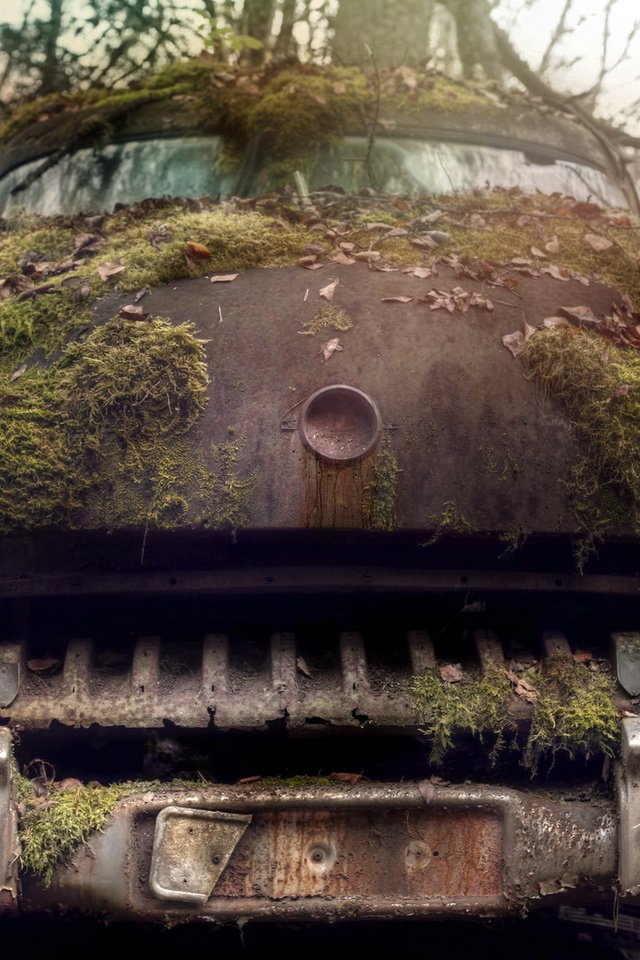 Обои машина, мох, лом, machine, moss, scrap разрешение 1920x1200 Загрузить