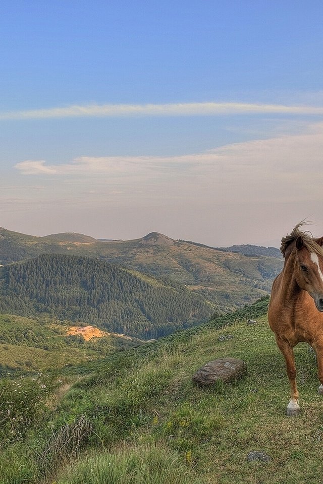 Обои небо, горы, пейзаж, лошади, кони, the sky, mountains, landscape, horse, horses разрешение 1920x1200 Загрузить