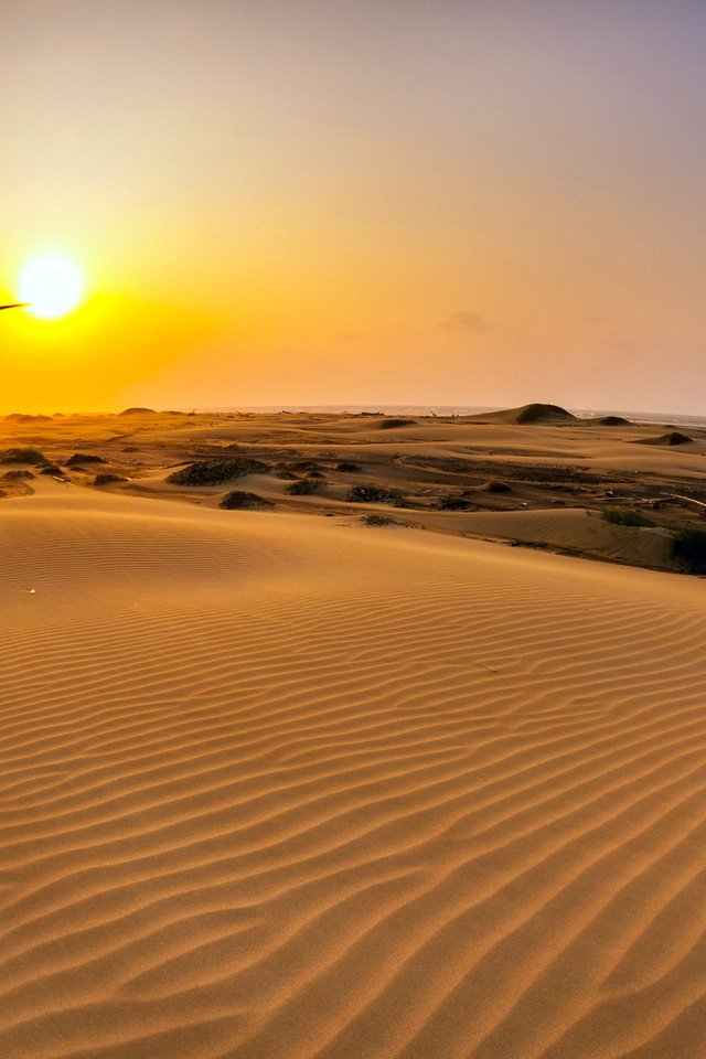 Обои небо, солнце, закат, пейзаж, песок, горизонт, пустыня, ветряки, the sky, the sun, sunset, landscape, sand, horizon, desert, windmills разрешение 1920x1200 Загрузить