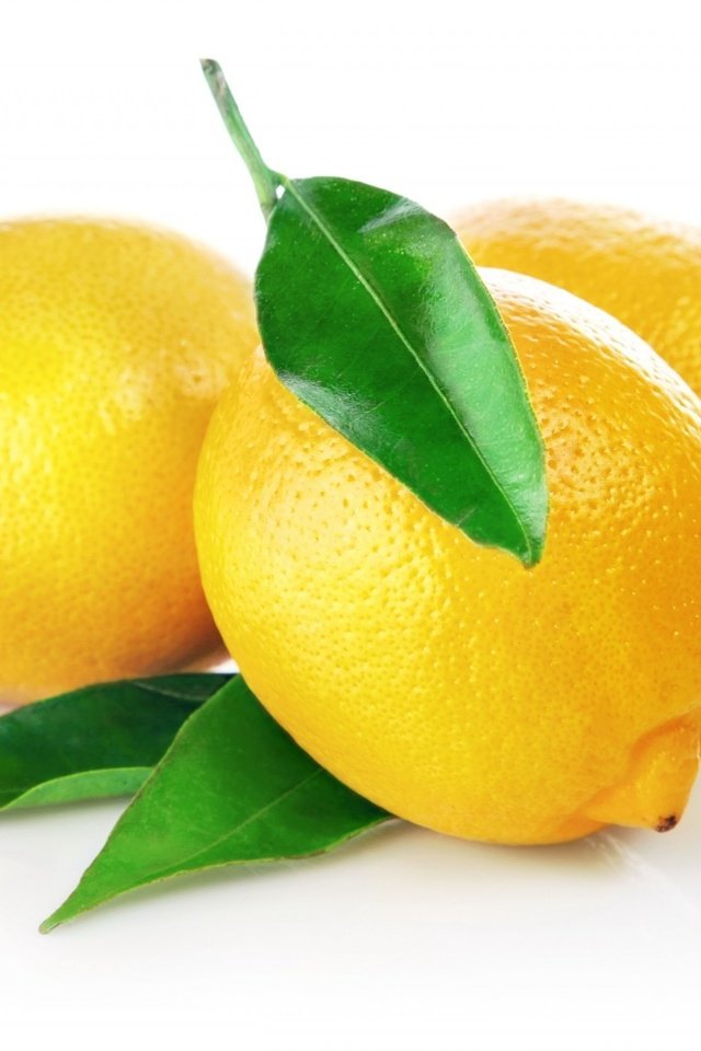 Обои фрукты, зеленые, белый фон, листики, лимоны, цитрусы, fruit, green, white background, leaves, lemons, citrus разрешение 1920x1357 Загрузить