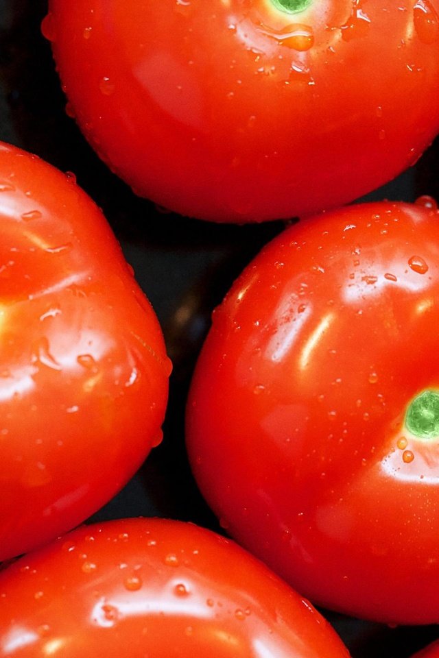 Обои капли, овощи, помидоры, томат, drops, vegetables, tomatoes, tomato разрешение 2560x1440 Загрузить