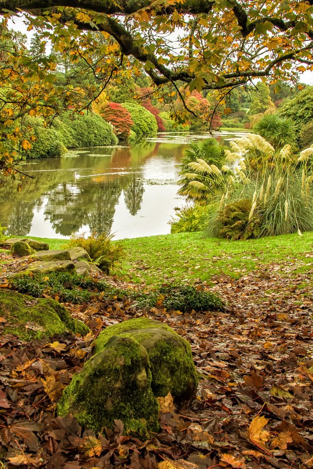 Обои деревья, озеро, пейзаж, осень, middle lake, sheffield park, trees, lake, landscape, autumn разрешение 2048x1356 Загрузить