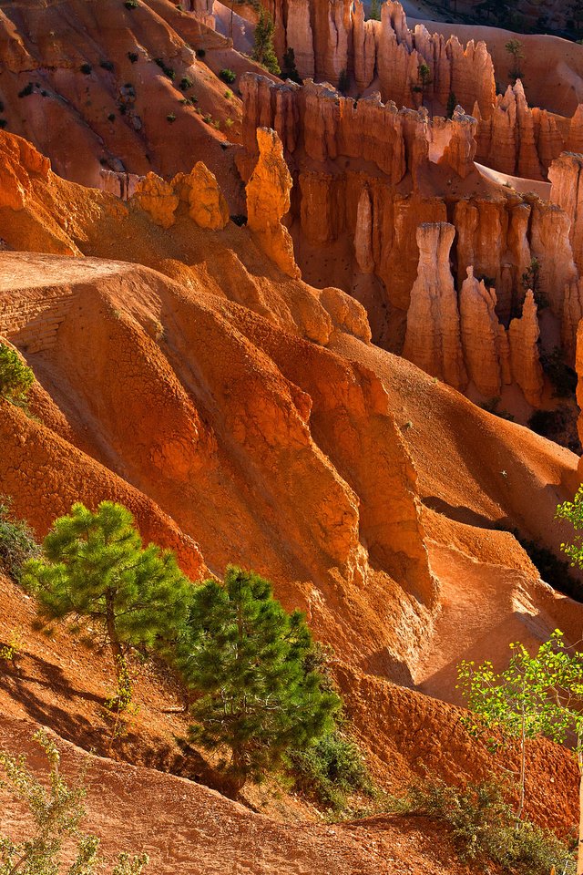 Обои деревья, горы, скалы, камни, каньон, trees, mountains, rocks, stones, canyon разрешение 2048x1365 Загрузить