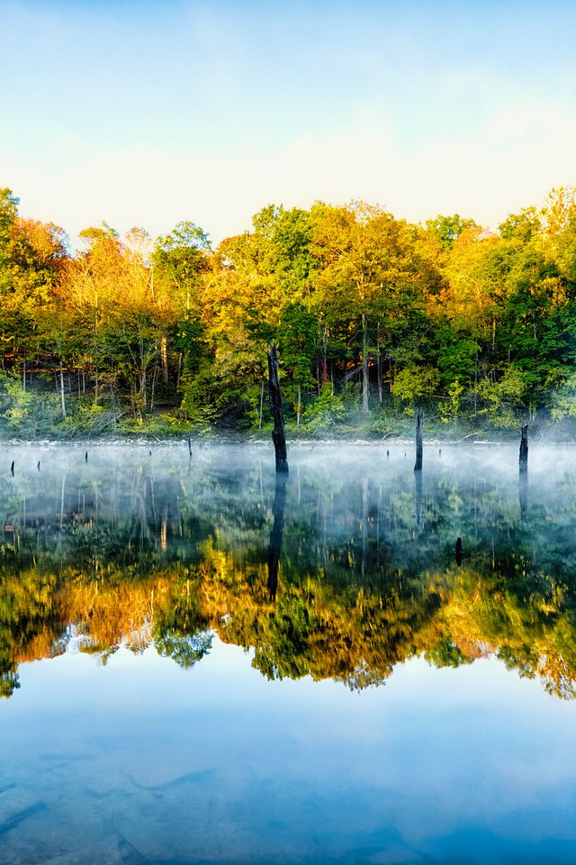 Обои деревья, озеро, природа, отражение, туман, trees, lake, nature, reflection, fog разрешение 2048x1365 Загрузить