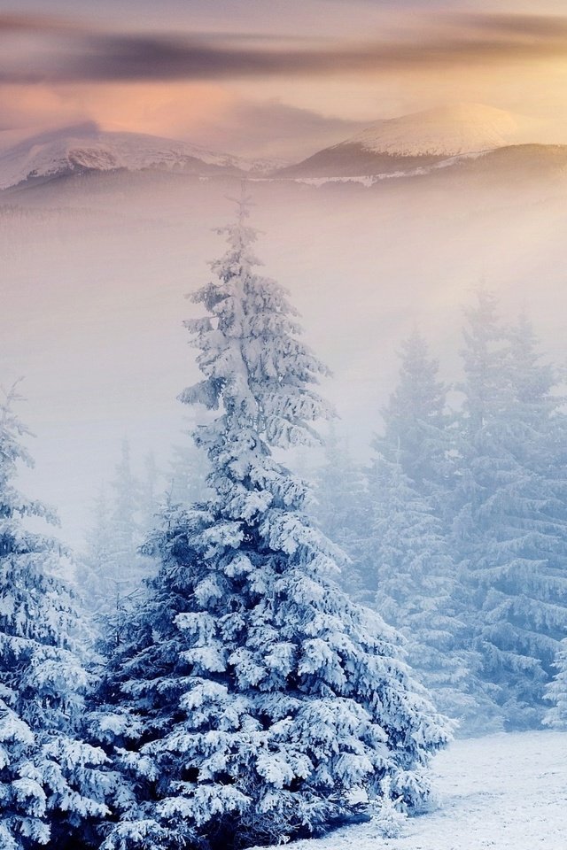 Обои деревья, горы, снег, природа, лес, зима, trees, mountains, snow, nature, forest, winter разрешение 2048x1152 Загрузить