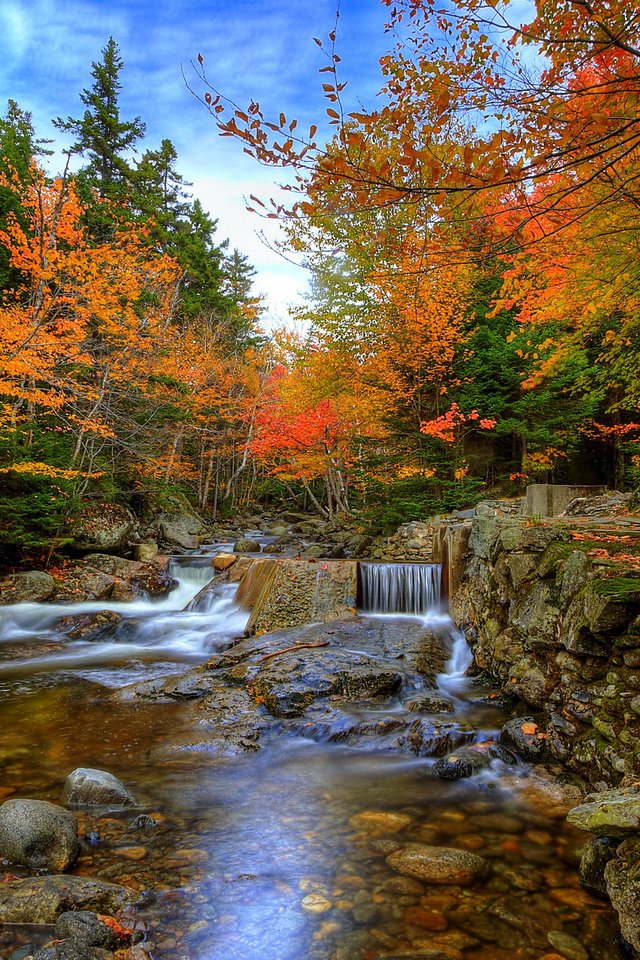 Обои небо, поток, деревья, река, камни, лес, ручей, водопад, осень, the sky, trees, river, stones, forest, stream, waterfall, autumn разрешение 2980x1980 Загрузить