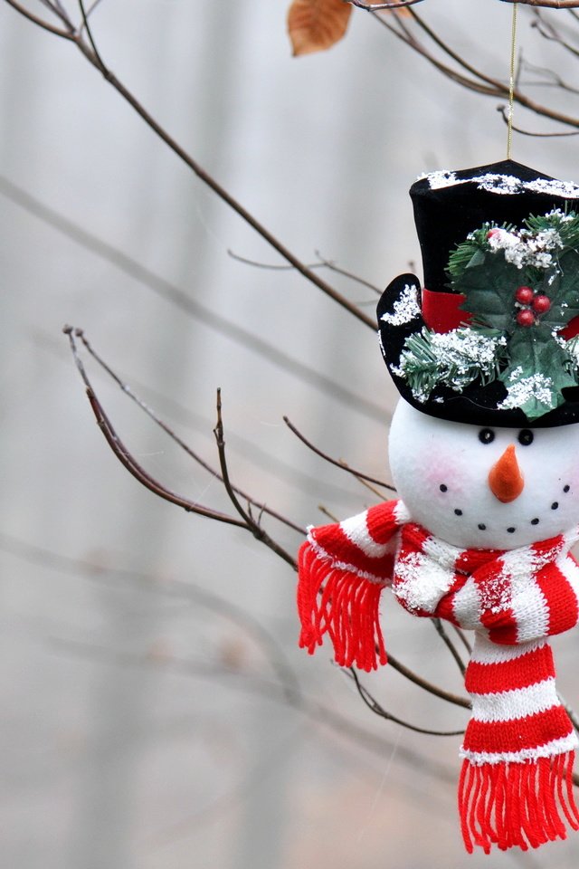 Обои ветки, игрушка, снеговик, праздник, branches, toy, snowman, holiday разрешение 2560x1707 Загрузить