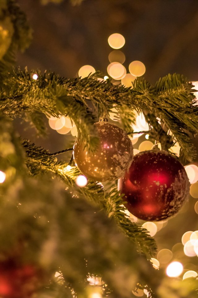 Обои елка, шары, игрушки, праздник, tree, balls, toys, holiday разрешение 2560x1707 Загрузить