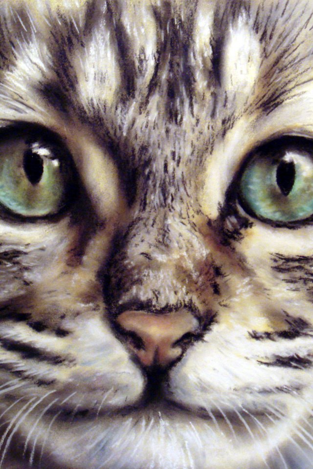 Обои морда, кот, усы, взгляд, животное, живопись, face, cat, mustache, look, animal, painting разрешение 2048x1536 Загрузить