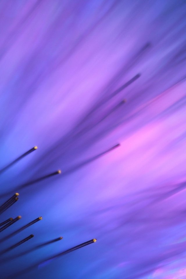 Обои полосы, свет, абстракт, абстракция, макро, фиолетовый, размытость, optic fiber, strip, light, abstract, abstraction, macro, purple, blur разрешение 1920x1080 Загрузить