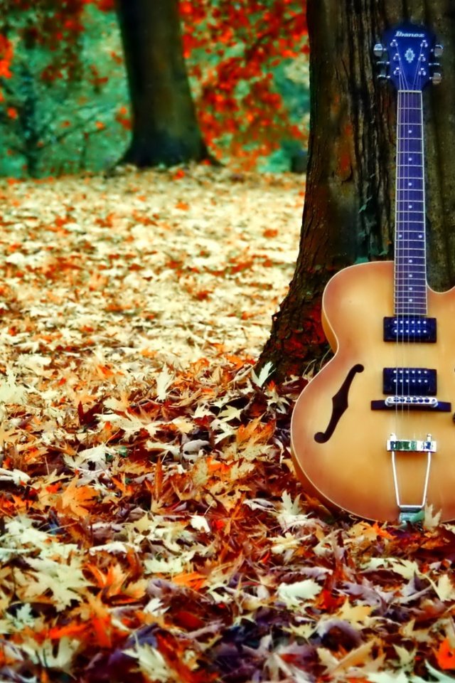 Обои дерево, листья, гитара, осень, листопад, tree, leaves, guitar, autumn, falling leaves разрешение 1920x1200 Загрузить