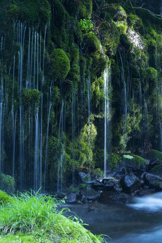 Обои камни, водопад, поток, мох, stones, waterfall, stream, moss разрешение 5423x3615 Загрузить
