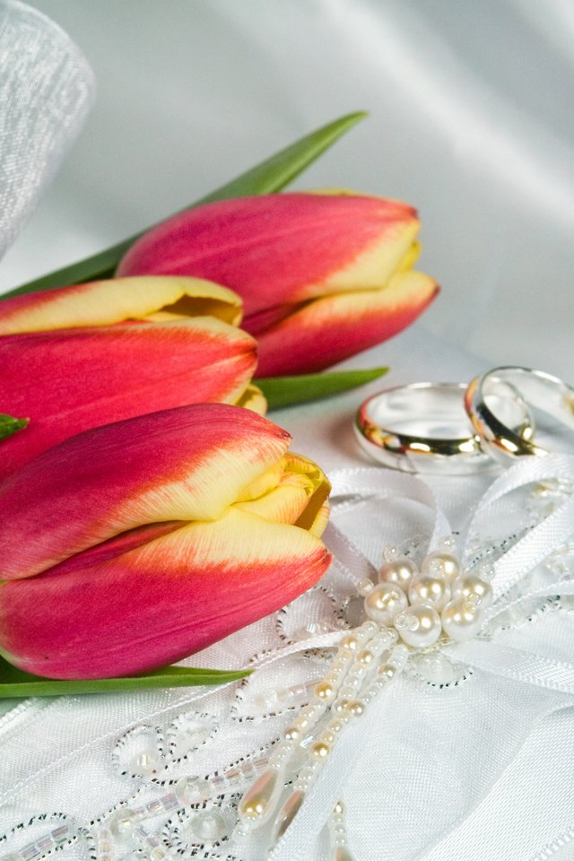 Обои украшения, ленточки, тюльпаны, кольца, decoration, ribbons, tulips, ring разрешение 3872x2592 Загрузить